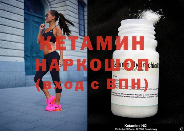 шишки Бердск