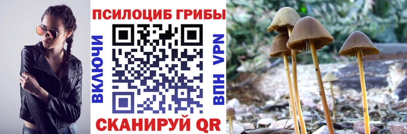 купить закладку  Яранск  Галлюциногенные грибы мицелий 